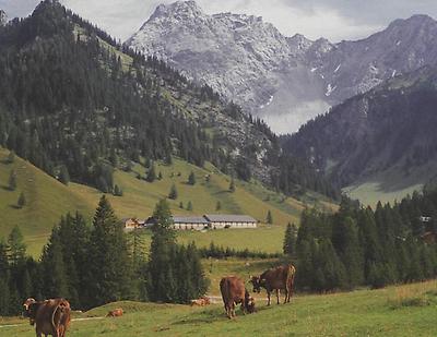 Alpe Gamperdona am 'Nenzinger Himmel' mit Gemeinschaftsstall.