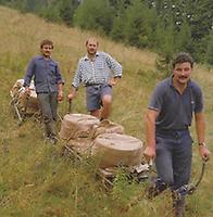 Auf ganz extrem gelegenen Almen, die durch keinen Weg erschlossen sind, werden die bis zu 35 kg schweren Käselaibe auf Schlitten ins Tal gezogen.