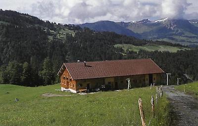 Die sanften Formen des Vorderen Bregenzerwaldes bieten ideale Voraussetzungen für die Almwirtschaft