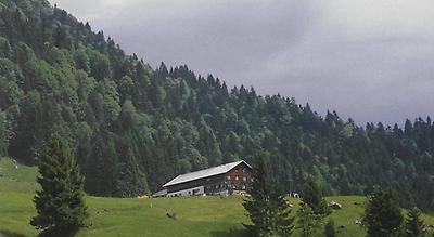 Auf der Kretzboden-Alpe