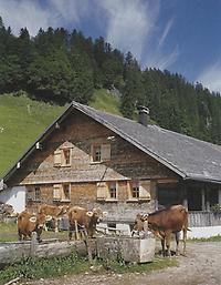 Viele Almgebäude im Bregenzerwald sind mit Holzschindeln verkleidet.