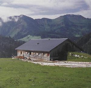 Auf der Rotenbach-Alpe wird bester Bergkäse erzeugt.