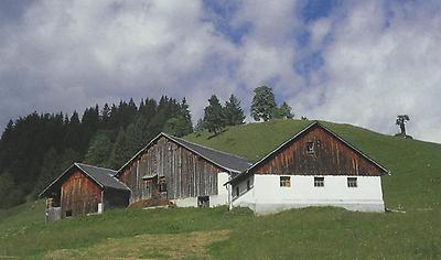 Am „Alphütten-Rundwanderweg Schetteregg' liegen die Untere und Obere Falz-Alpe.