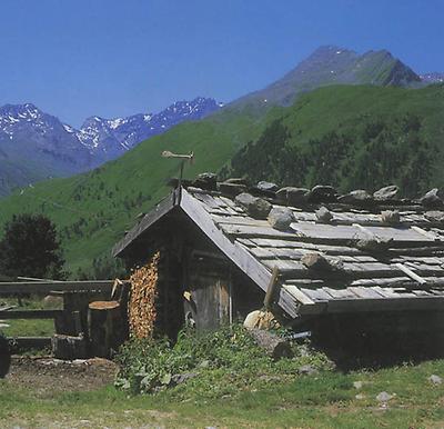 Mensch und Tier gehen auf der Alm echte Freundschaften ein (Sölkpaß, Stmk.).