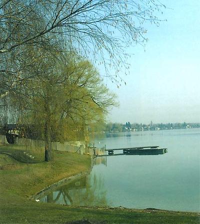 Neufeldersee