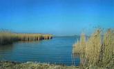 Neusiedlersee