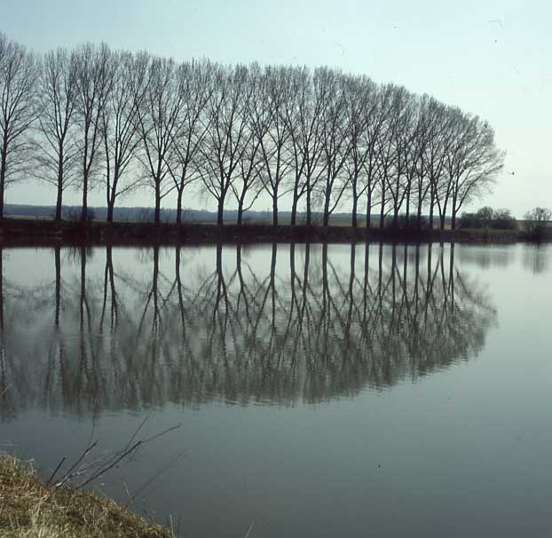 Bernharsthaler See