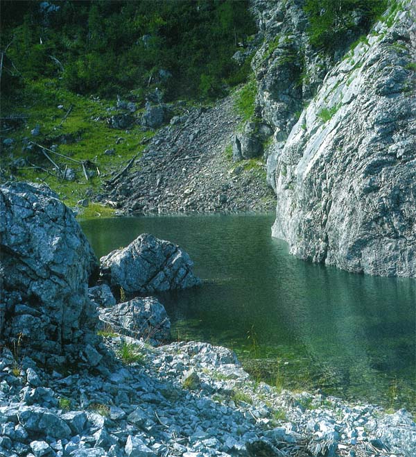 Teufelssee (20) | Steiermark | Eine Auswahl aus den schönsten Seen ...