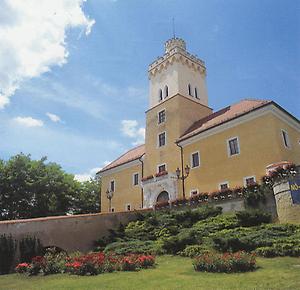 Schloss Dürnkrut dürfte Ende des 13. Jahrhunderts errichtet worden sein. Im Jahre 1985 erwarb die Marktgemeinde Dürrkrut das Schloss. Seitdem dient es als Kultur-und Gemeindezentrum.