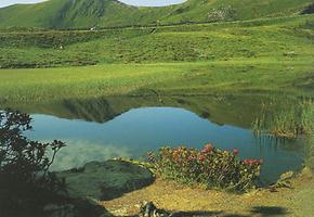 Das Gebiet um den idyllisch gelegenen Falkertsee lädt zum Wandern und Erholen ein.