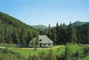 Blick auf das Bergwaldmuseum auf der Grundalm.