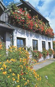 Pöllauberg: eines der schönsten Blumendörfer der Steiermark.