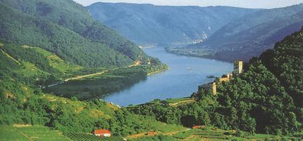 Die Wachau: Wein, Marillen, und Kulturgeschichte prägen diese alte Kulturlandschaft, die wohl zu den schönsten der Welt zählt.