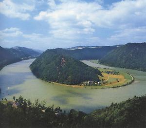 Die berühmte Donauschlinge bei Schlögen, wo der Strom seinen Lauf zurück nach Nordwesten wendet.