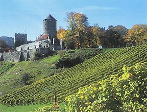 Burg Deutschlandsberg liegt inmitten der Schilcher Rebflächen.