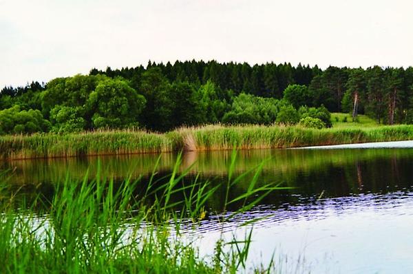 Landschaft Waldviertel