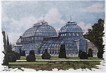 Palmenhaus