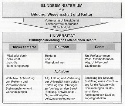 Struktur der Universitäten