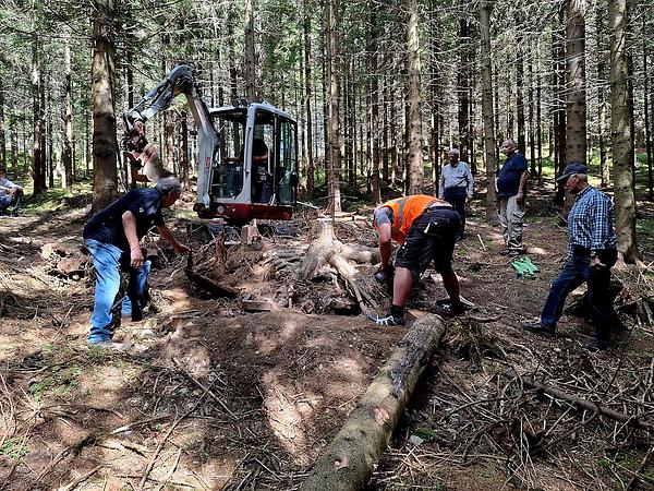 Schwereres Gerät hätte den Waldboden erheblich beschädigt.