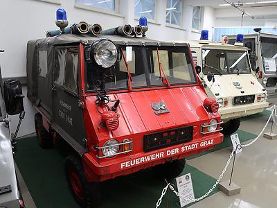 Feuerwehr-Hafi vor Sanitäts-Haflinger, hinter dem ein Triebkopf steht. (Foto: Martin Krusche)