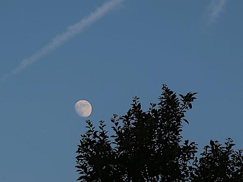 “Wie auch den Thales, o Theodoros, als er, um die Sterne zu beschauen, den Blick nach oben gerichtet in den Brunnen fiel,…“ (Foto: Martin Krusche)