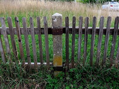 was die lakaien kenntlich macht: der sklave träumt nicht frei zu sein, sondern herr zu sein.