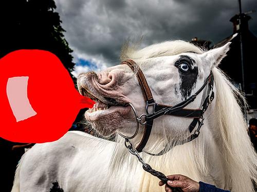 Malografie von Richard Mayr & Heinz Payer