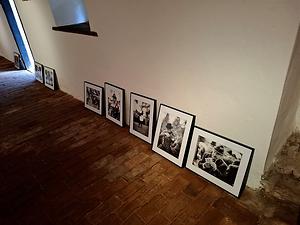 Fotografien von Roswitha Wesiak