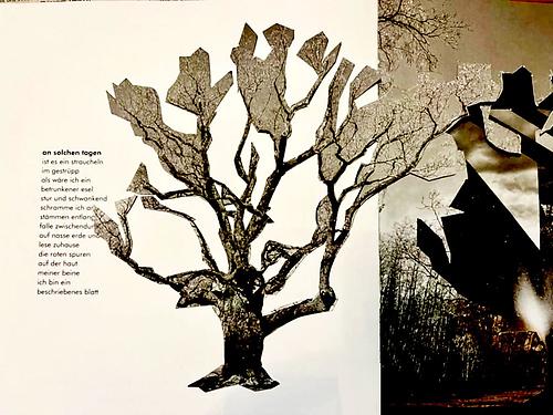 (Grafik: Heinz Payer)