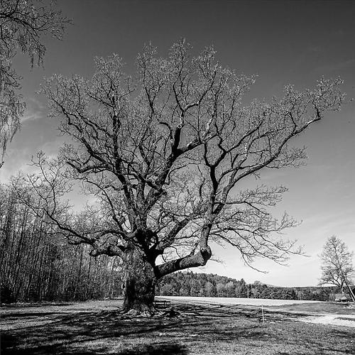 (Foto: Richard Mayr)