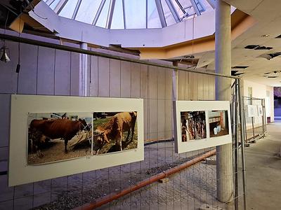 Bild 'gleisdorf002d'