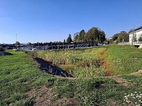 Bild 'greithbach001b'