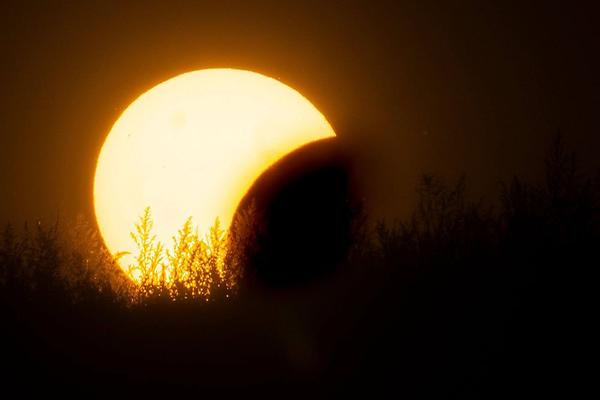 Die Sonnenfisnternis vom 12. August 2026 (Foto: Richard Mayr)