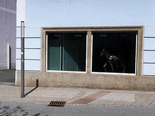 Die zwei Schnittstellen in der Gleisdorfer Bürgergasse. (Foto: Martin Krusche)