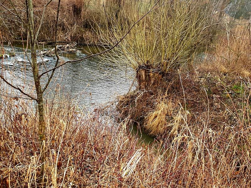 Hier mündet der kleine Kanal in die Raab.