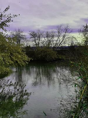 Bild 'rabnitz02'