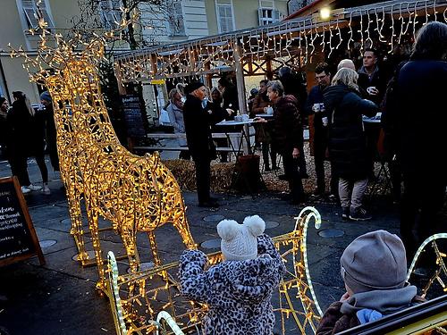 Bild 'kru60_advent03b'