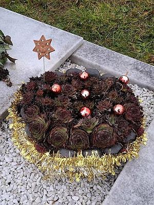 Bild 'kru60_advent05b'