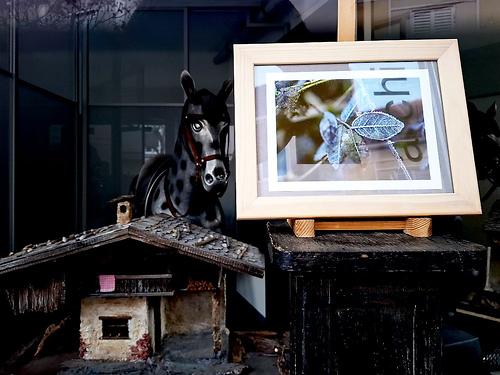 Bild 'kru60_transit01'