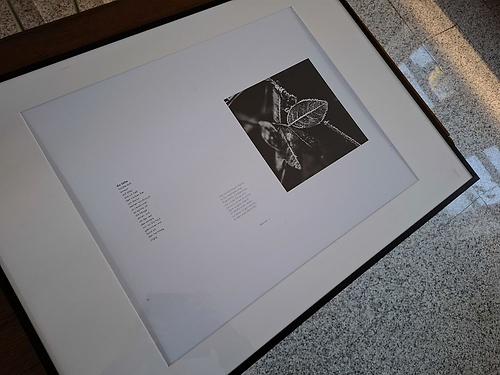 Bild 'Zwischenspiel'