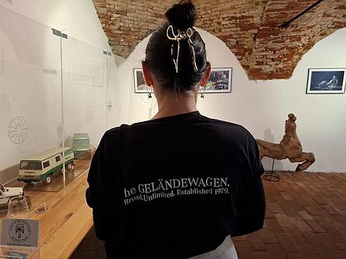 Bild 'log3817a'