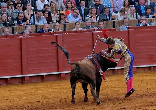 Corrida de Toro (Foto Richard Mayr)