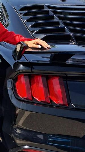 Pertra Schwarz und der renntaugliche Roush Mustang.