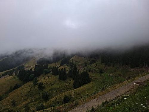 Herbst im Hochsommer.