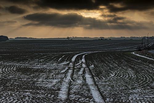 (Foto: Richard Mayr)