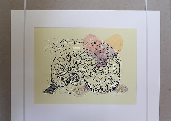 Monika Lafer: Hippocampus,41 x 55 cm, Linsolschnitt, Buntstift, Papier, 2022