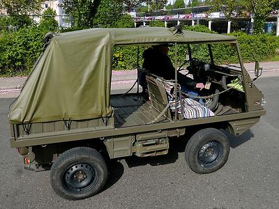 Haflinger mit kurzem Radstand.