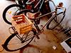 Bild 'ramminger01'