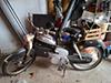 Bild 'ramminger02'