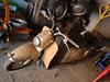 Bild 'ramminger03'
